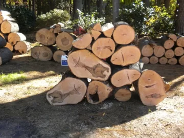 [Hearth.com] Log 20 ID, Maple ?
