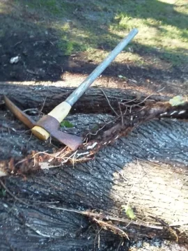 [Hearth.com] Poison Ivy vine removed from Norway trunk