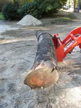 [Hearth.com] Log ID 21, I Got Me A Cherry! My First One Too!!
