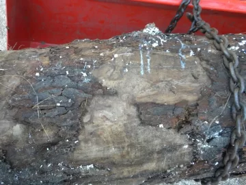 [Hearth.com] Log ID 21, I Got Me A Cherry! My First One Too!!