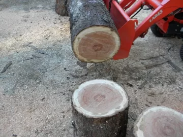 [Hearth.com] Log ID 21, I Got Me A Cherry! My First One Too!!
