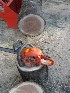 [Hearth.com] Log ID 21, I Got Me A Cherry! My First One Too!!