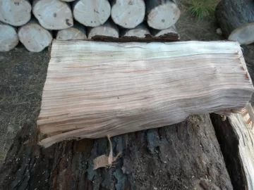 [Hearth.com] Log ID 21, I Got Me A Cherry! My First One Too!!