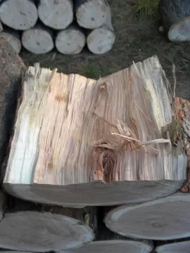[Hearth.com] Log ID 21, I Got Me A Cherry! My First One Too!!