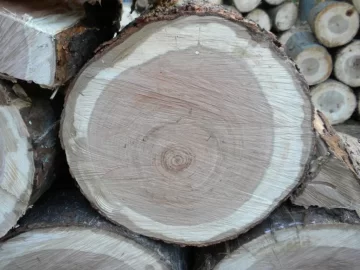 [Hearth.com] Log ID 21, I Got Me A Cherry! My First One Too!!