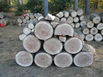 [Hearth.com] Log ID 21, I Got Me A Cherry! My First One Too!!