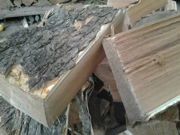 [Hearth.com] Wood id please