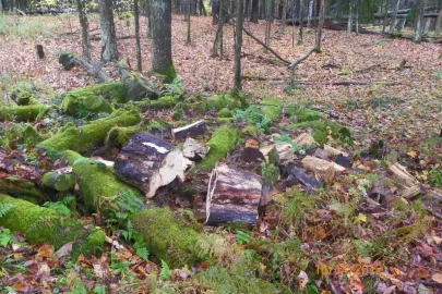 [Hearth.com] More Wood