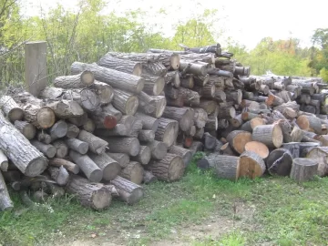 [Hearth.com] Worked the weekend in the locust woods.