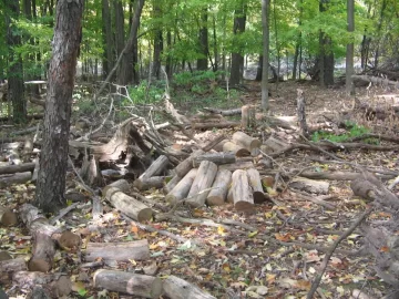 [Hearth.com] Worked the weekend in the locust woods.
