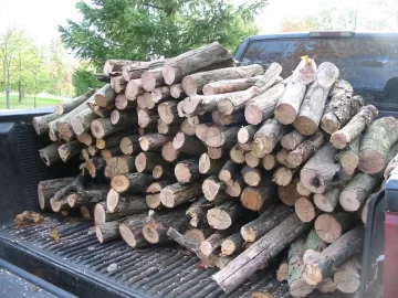 [Hearth.com] Went dumpster diving