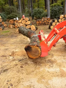 [Hearth.com] Log 23 ID, Looks Like White Oak?