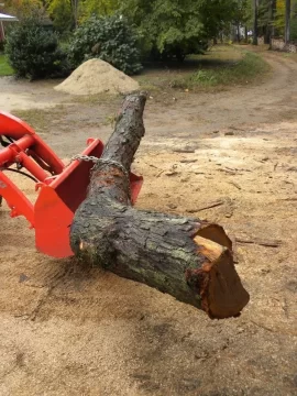 [Hearth.com] Log 23 ID, Looks Like White Oak?