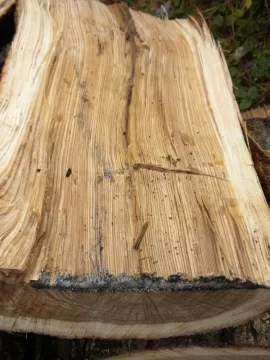 [Hearth.com] Log 23 ID, Looks Like White Oak?