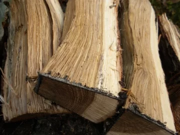 [Hearth.com] Log 23 ID, Looks Like White Oak?