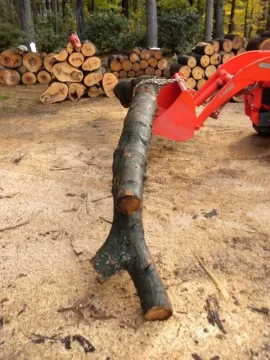 [Hearth.com] Log 24 ID, Thought I had Another Cherry!