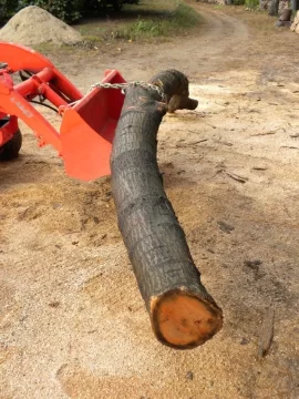 [Hearth.com] Log 24 ID, Thought I had Another Cherry!