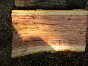 [Hearth.com] Log 24 ID, Thought I had Another Cherry!