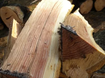 [Hearth.com] Log 24 ID, Thought I had Another Cherry!