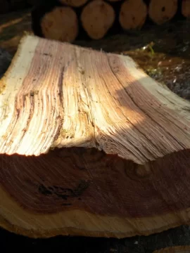 [Hearth.com] Log 24 ID, Thought I had Another Cherry!