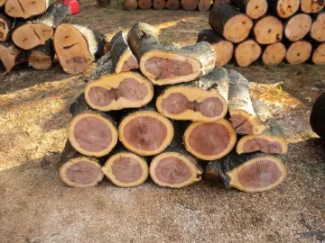 [Hearth.com] Log 24 ID, Thought I had Another Cherry!