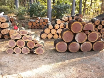 [Hearth.com] Log 24 ID, Thought I had Another Cherry!
