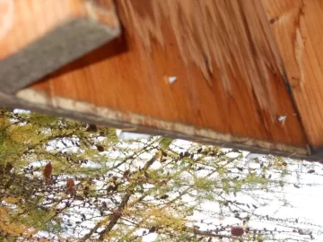 [Hearth.com] Wood Shed Finished