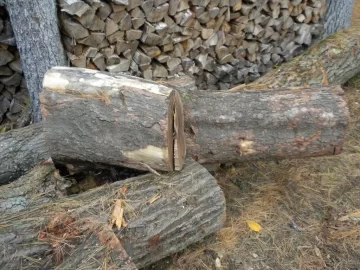 [Hearth.com] Log 28 ID Please, Anonther No Clue?