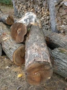 [Hearth.com] Log 28 ID Please, Anonther No Clue?