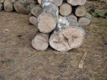 [Hearth.com] Log 28 ID Please, Anonther No Clue?