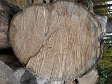 [Hearth.com] Log 28 ID Please, Anonther No Clue?