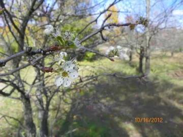 [Hearth.com] It's May Today, Hooray, Hooray