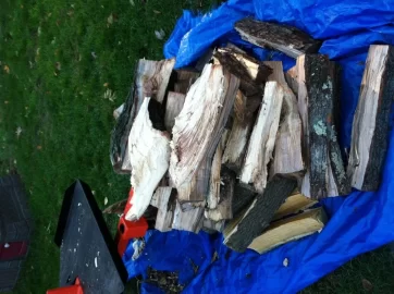[Hearth.com] Yesterday's Free Wood