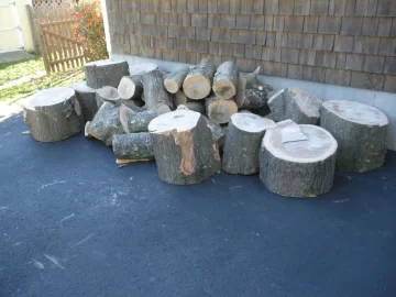 [Hearth.com] Scored a free load of oak today.