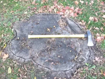 [Hearth.com] walnut