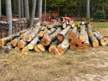 [Hearth.com] Log 28 ID Please, Anonther No Clue?