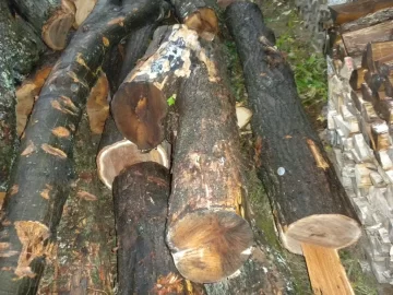 [Hearth.com] Log 28 ID Please, Anonther No Clue?