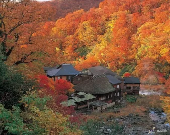 [Hearth.com] More foliage NH & ME