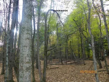 [Hearth.com] Hardhack/Ironwood