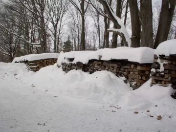 [Hearth.com] Winter wood storage