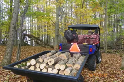 [Hearth.com] Hardhack/Ironwood