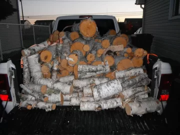 [Hearth.com] nice day to get some birch