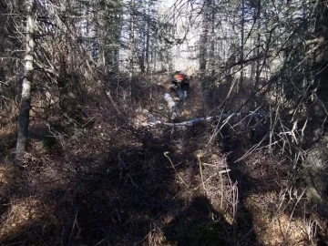 [Hearth.com] Pics of ATV /woods & logs