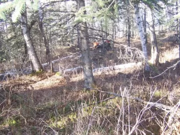 [Hearth.com] Pics of ATV /woods & logs