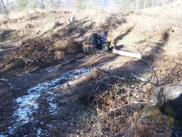 [Hearth.com] Pics of ATV /woods & logs