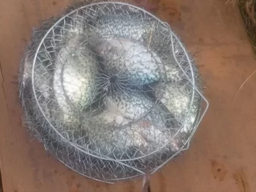 [Hearth.com] I love fall fishing