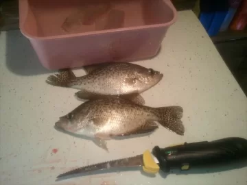 [Hearth.com] I love fall fishing