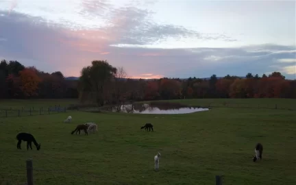 [Hearth.com] Fall Pics - New England - add yours....
