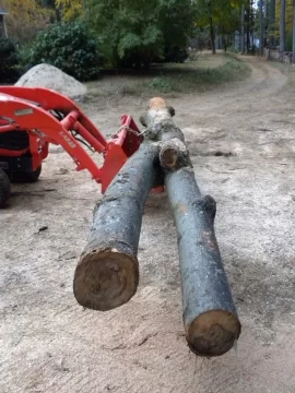 [Hearth.com] Log 30 ID,  I'm Thinging Hard Maple?