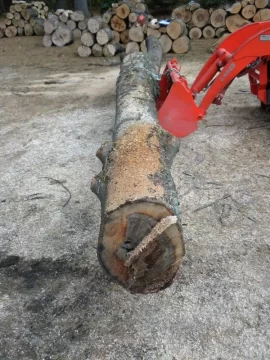 [Hearth.com] Log 30 ID,  I'm Thinging Hard Maple?